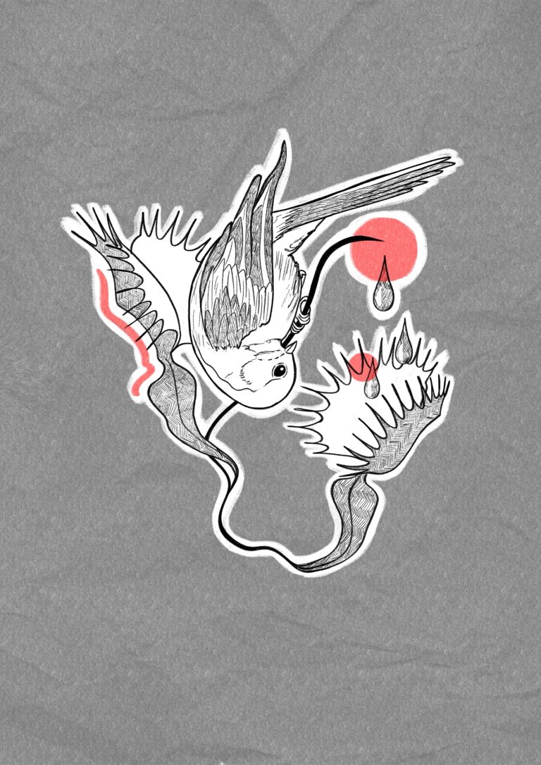 Swallow and a venus flytrap, flash design
